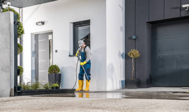 Best Patio and Deck Pressure Washing  in Livingston, MT